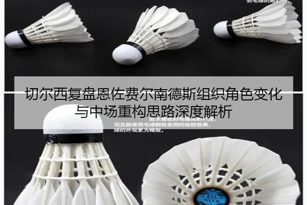 切尔西复盘恩佐费尔南德斯组织角色变化与中场重构思路深度解析